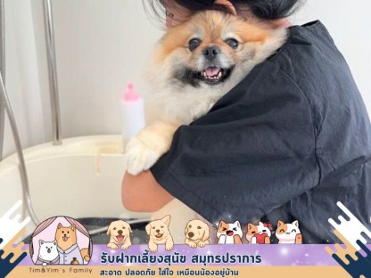 อาบน้ำตัดขนสุนัข เทพารักษ์ - รับฝากเลี้ยงสุนัข สมุทรปราการ - Tim&Yim Family