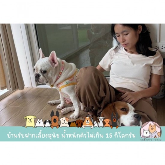รับฝากเลี้ยงสุนัข สมุทรปราการ - รับฝากเลี้ยงสุนัข สมุทรปราการ - Tim&Yim Family