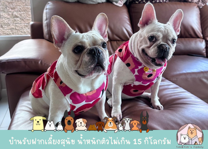 ฝากเลี้ยงสุนัข เทพารักษ์