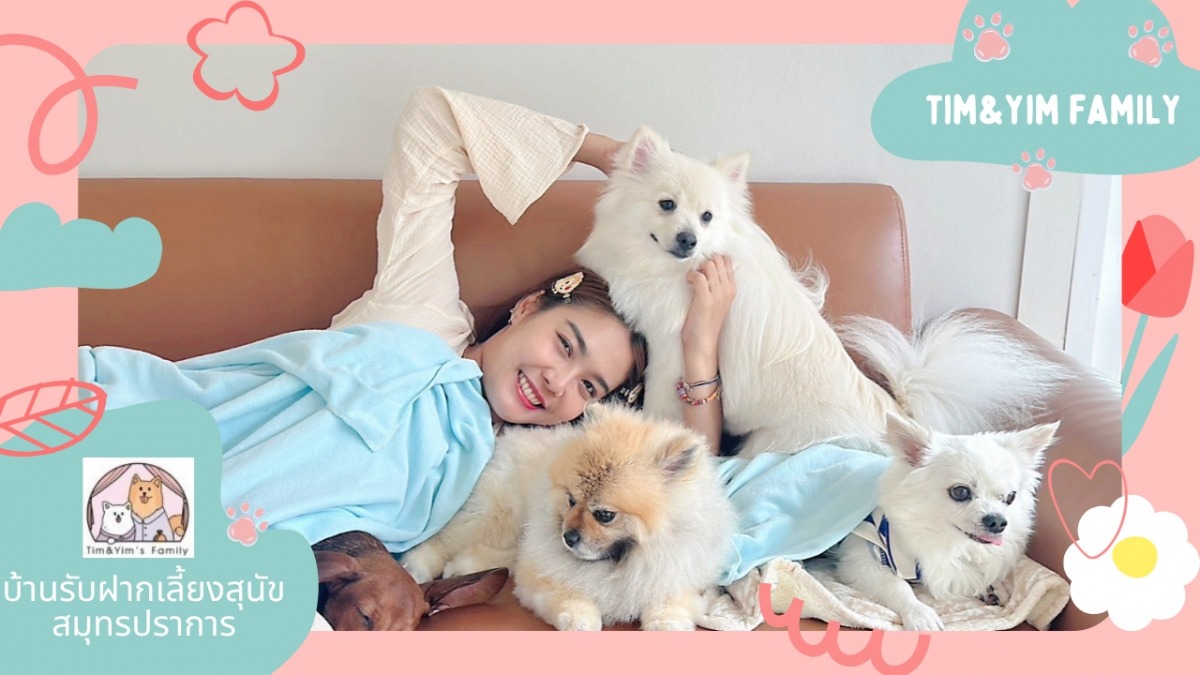 รับฝากเลี้ยงสุนัขไม่ขังกรง รับฝากเลี้ยงสุนัขไม่ขังกรง