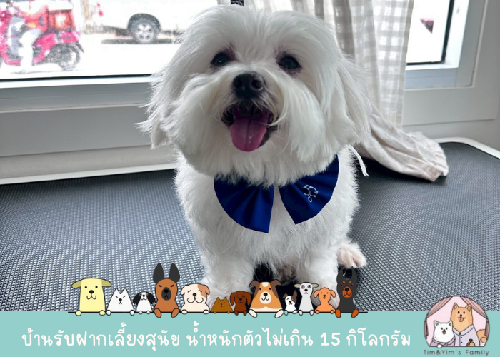 ร้านตัดขนสุนัขสมุทรปราการ