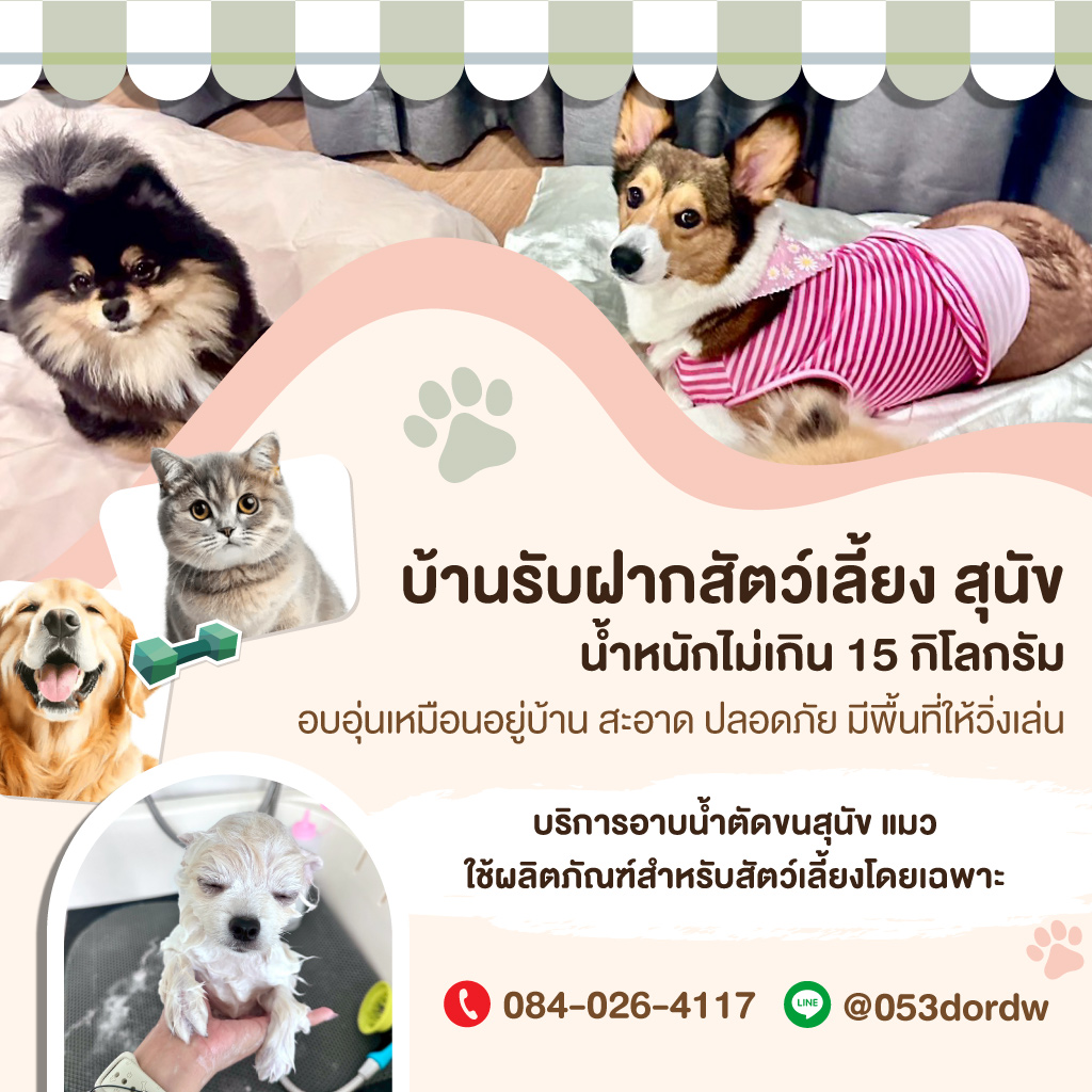 บ้านรับฝากเลี้ยงสุนัข สมุทรปราการ